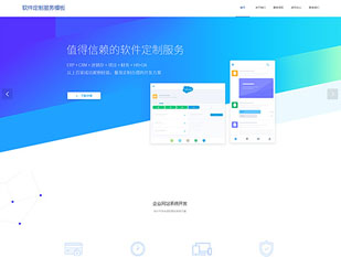 软件定制服务模板PC网站模板
